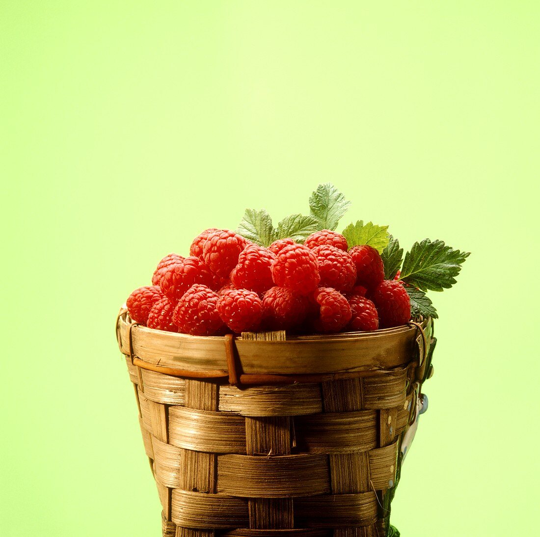 Basket Full of Freshly Picked Raspberries