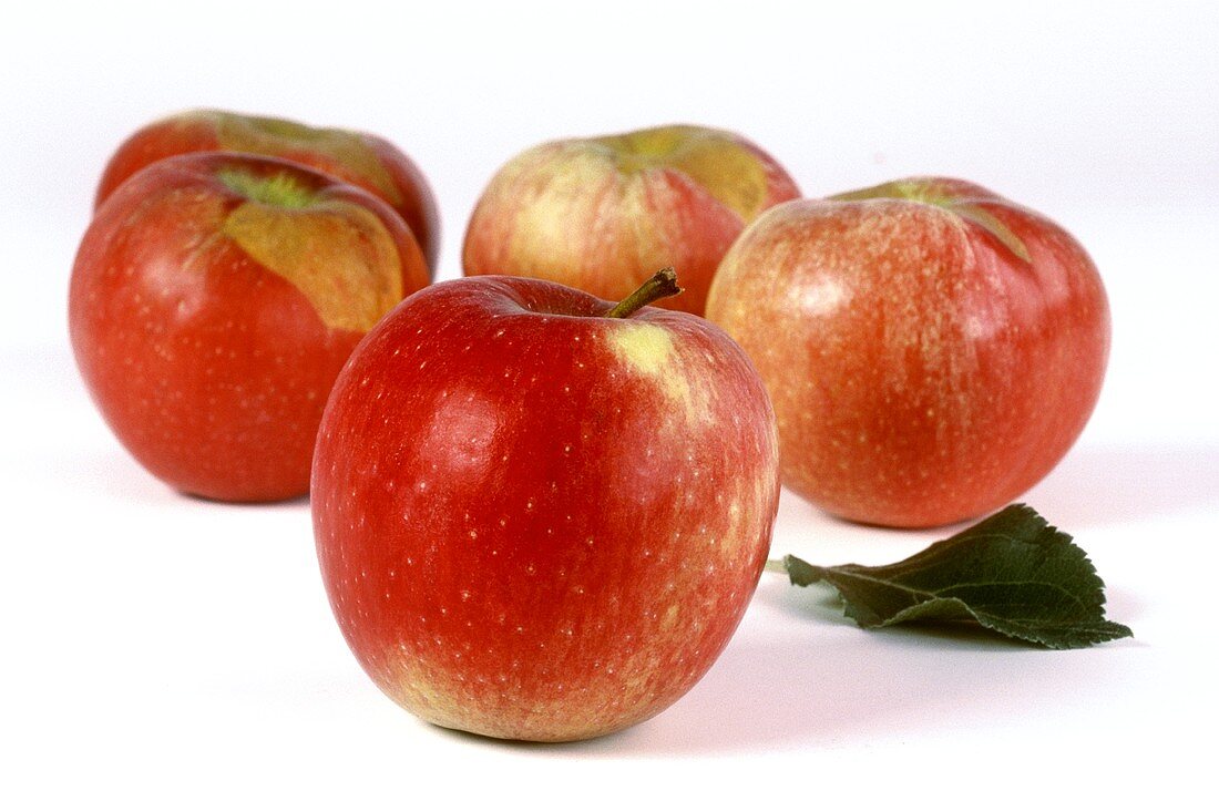 Resi apples