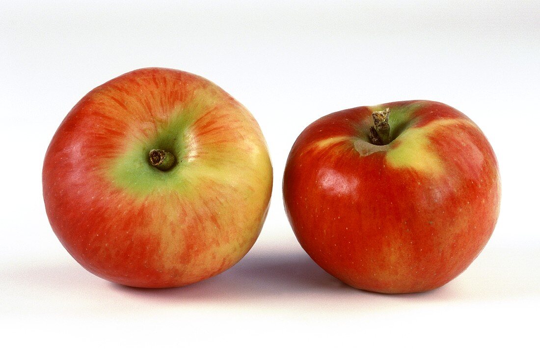 Zwei Äpfel der Sorte Gerlinde