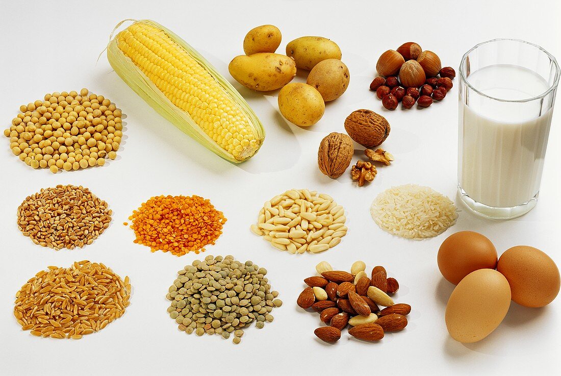 Protein foods for optimum nourishment