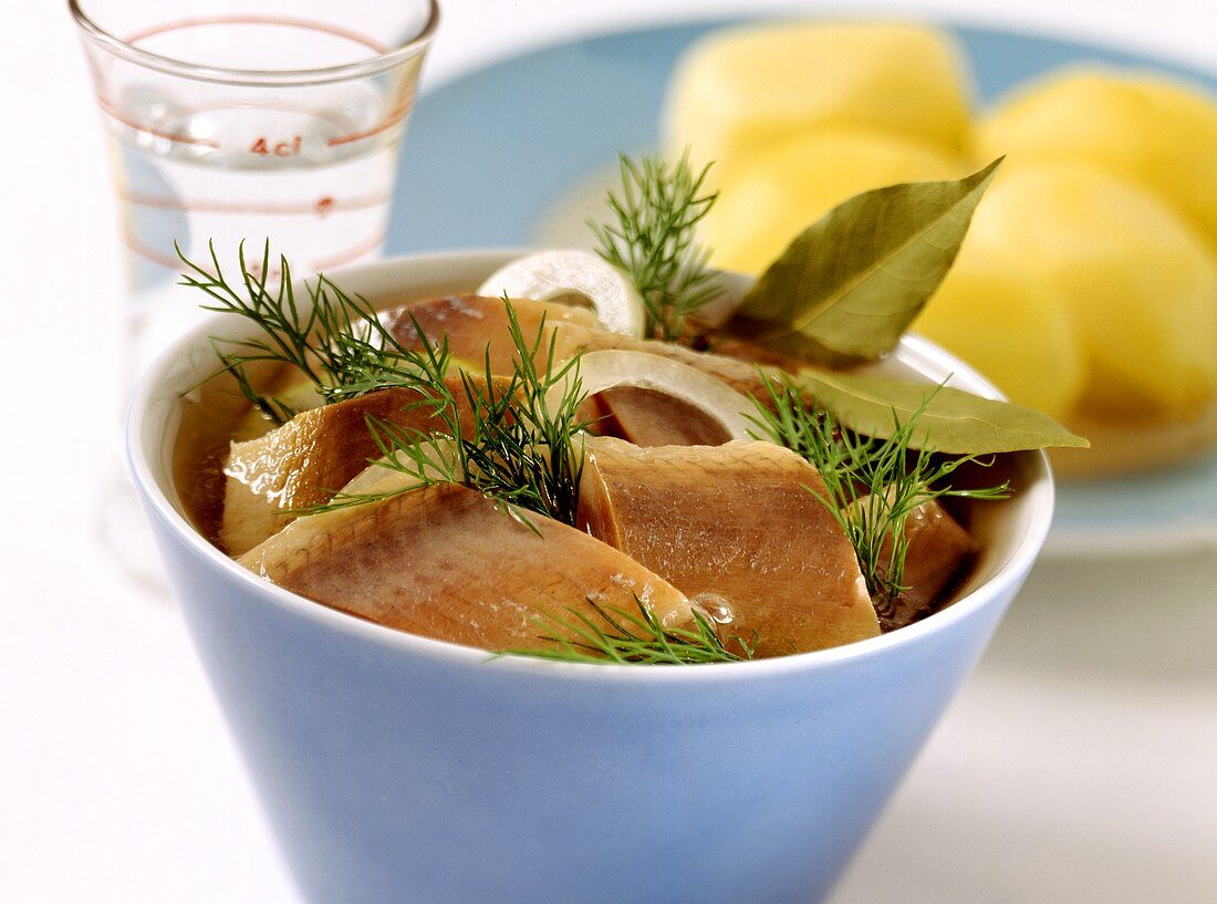 Matje herring snacks with dill in bowl, boiled potatoes behind