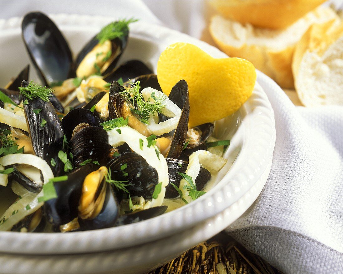 Mussels in white wine and cream stock with fennel and nutmeg