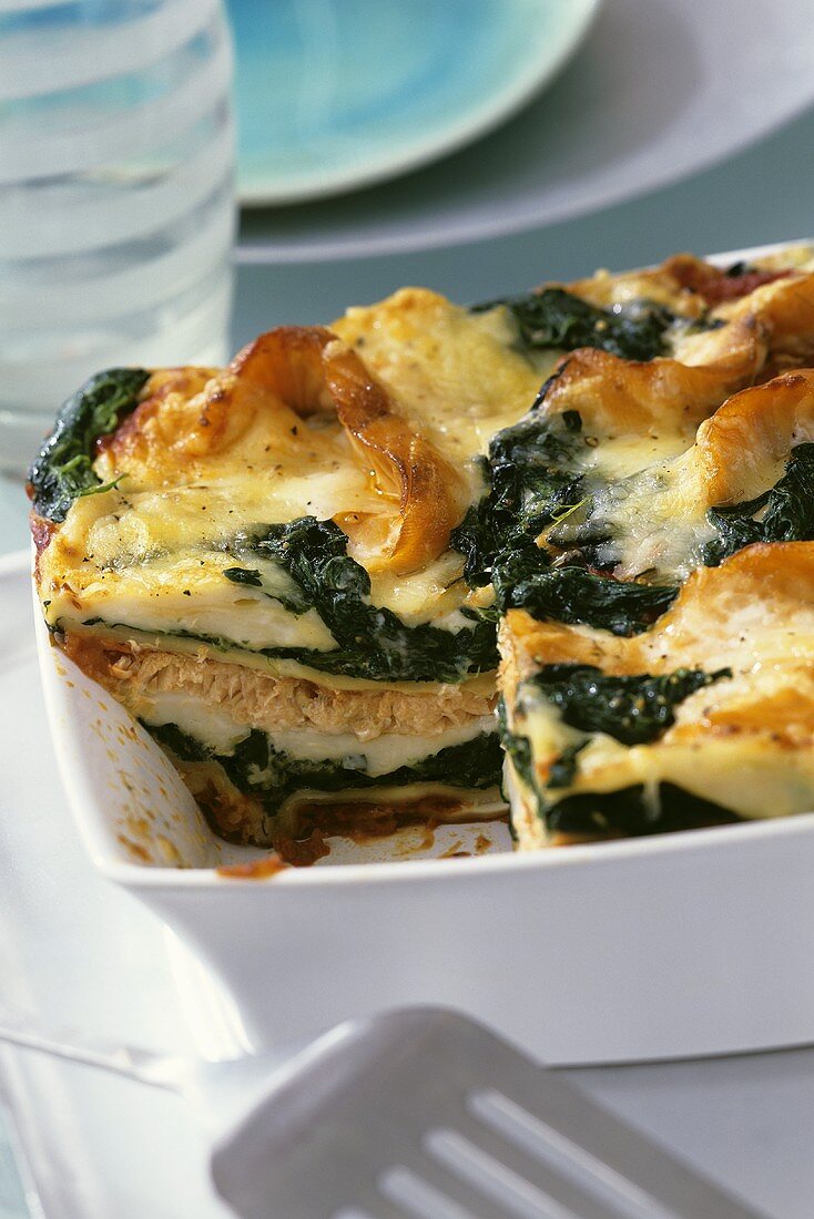 Spinach and salmon lasagne in a baking dish