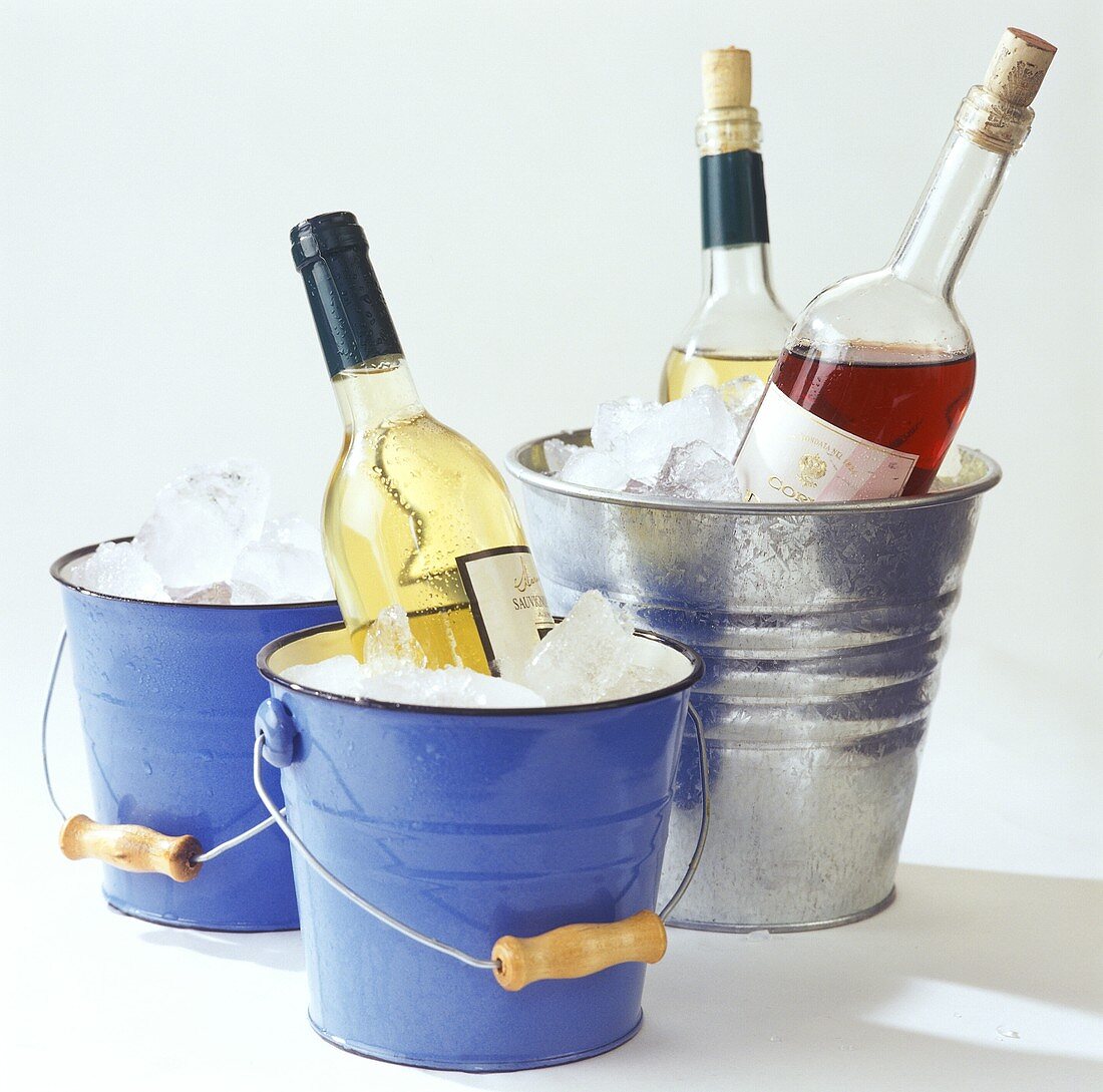 Weinflaschen auf Eis in dekorativen Eimerchen und Weinkühler