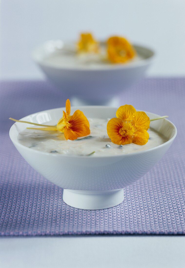Blumenkohl-Gorgonzola-Suppe, dekoriert mit Kresseblüten