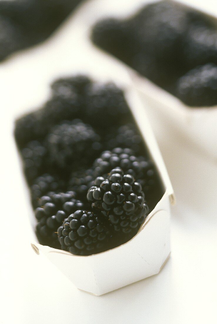 Blackberries in a cardboard punnet