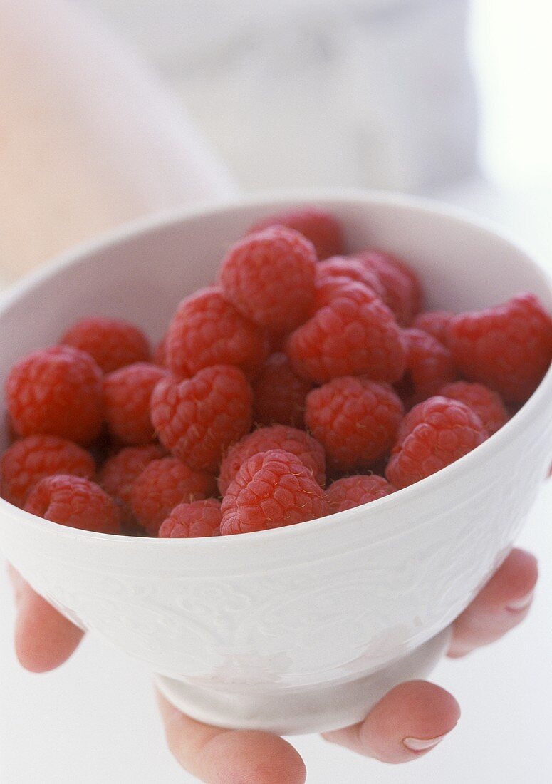 Hand hält einen Schale mit frischen Himbeeren