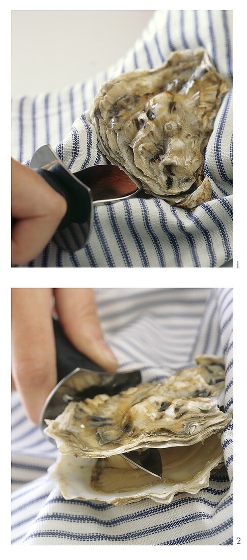 Opening oyster with an oyster knife
