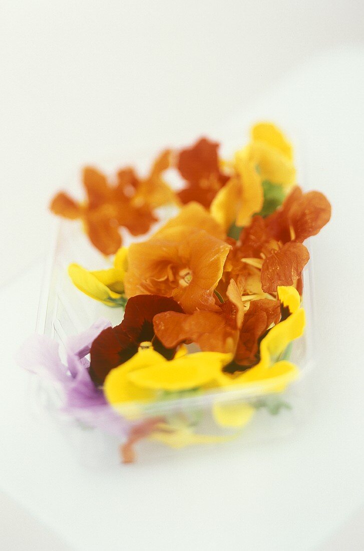 Essbare Blüten in einem Plastikschälchen