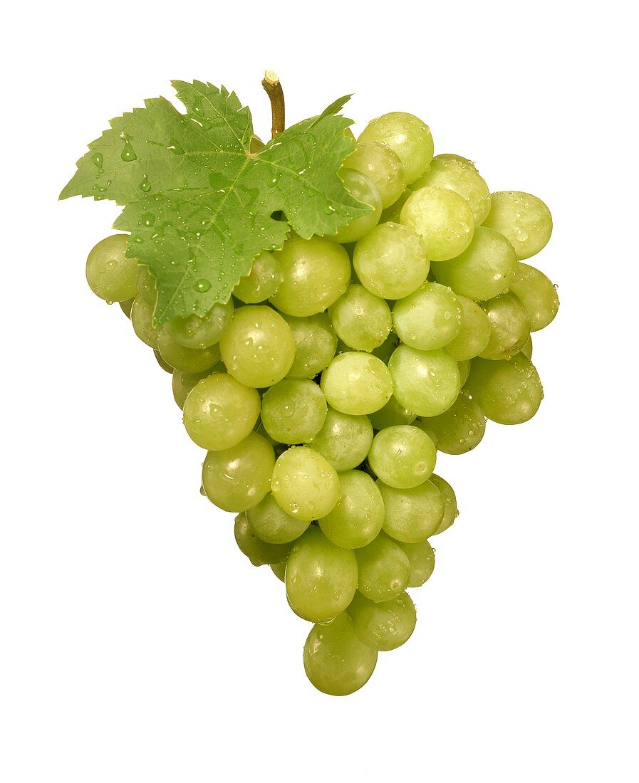 Green grapes with leaf