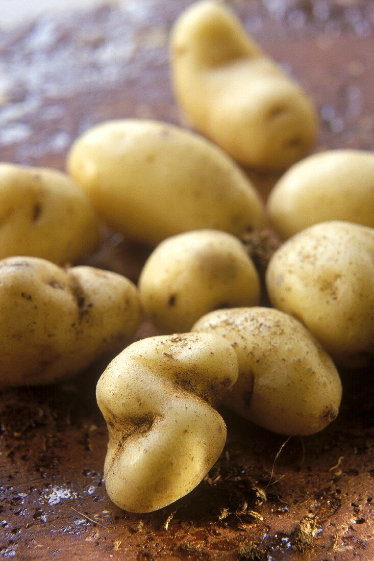 "La Ratte" potatoes (expensive luxury potatoes)