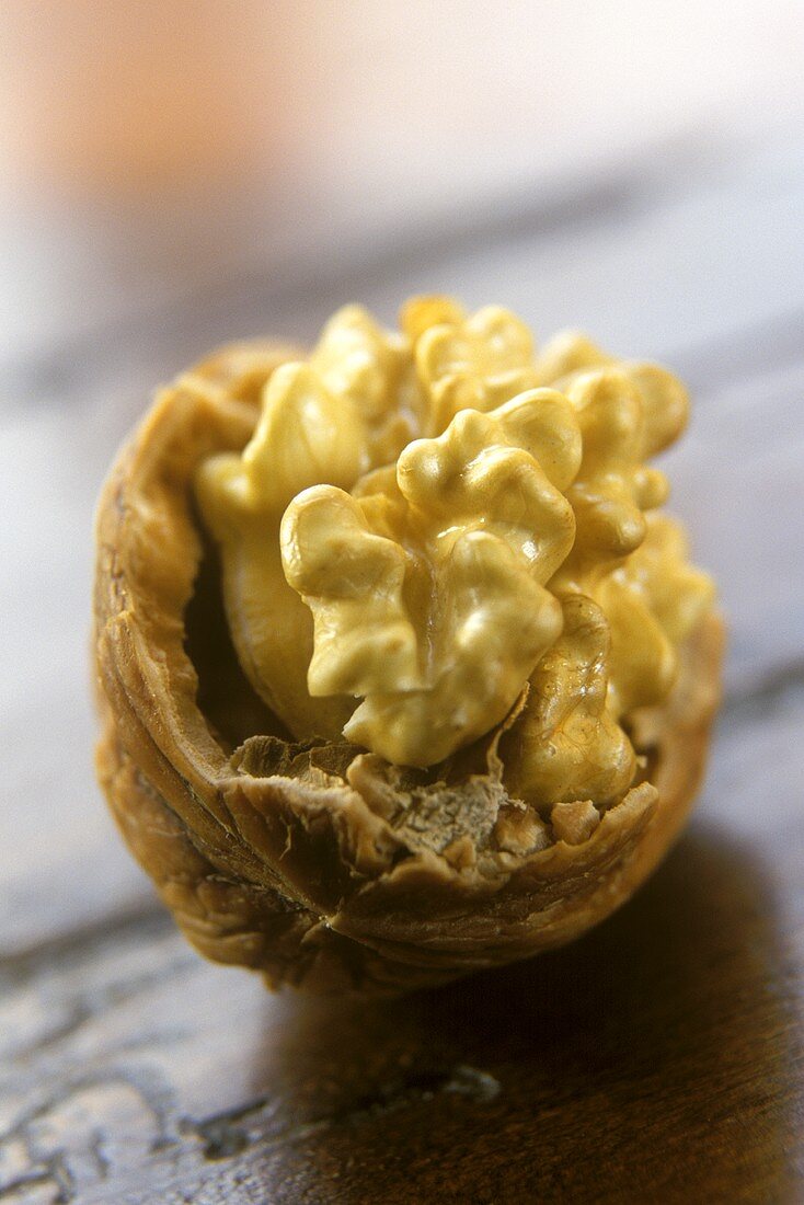 Walnut kernel in opened shell