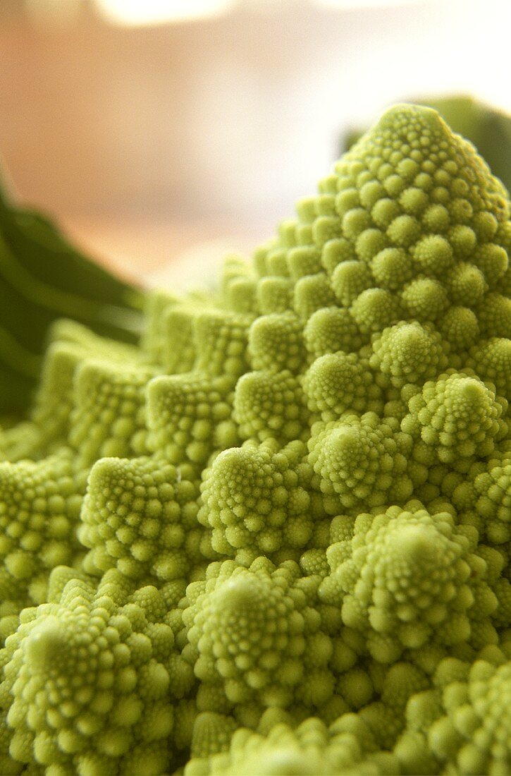 Romanesco (Nahaufnahme)