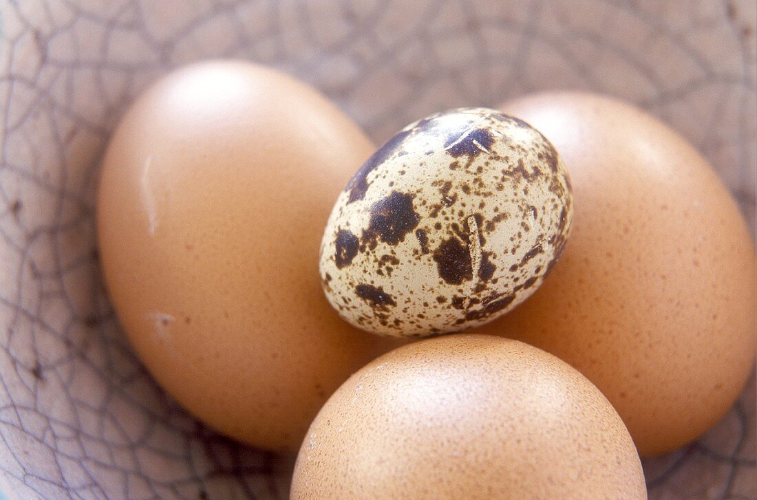 Three hen's eggs and a quail's egg