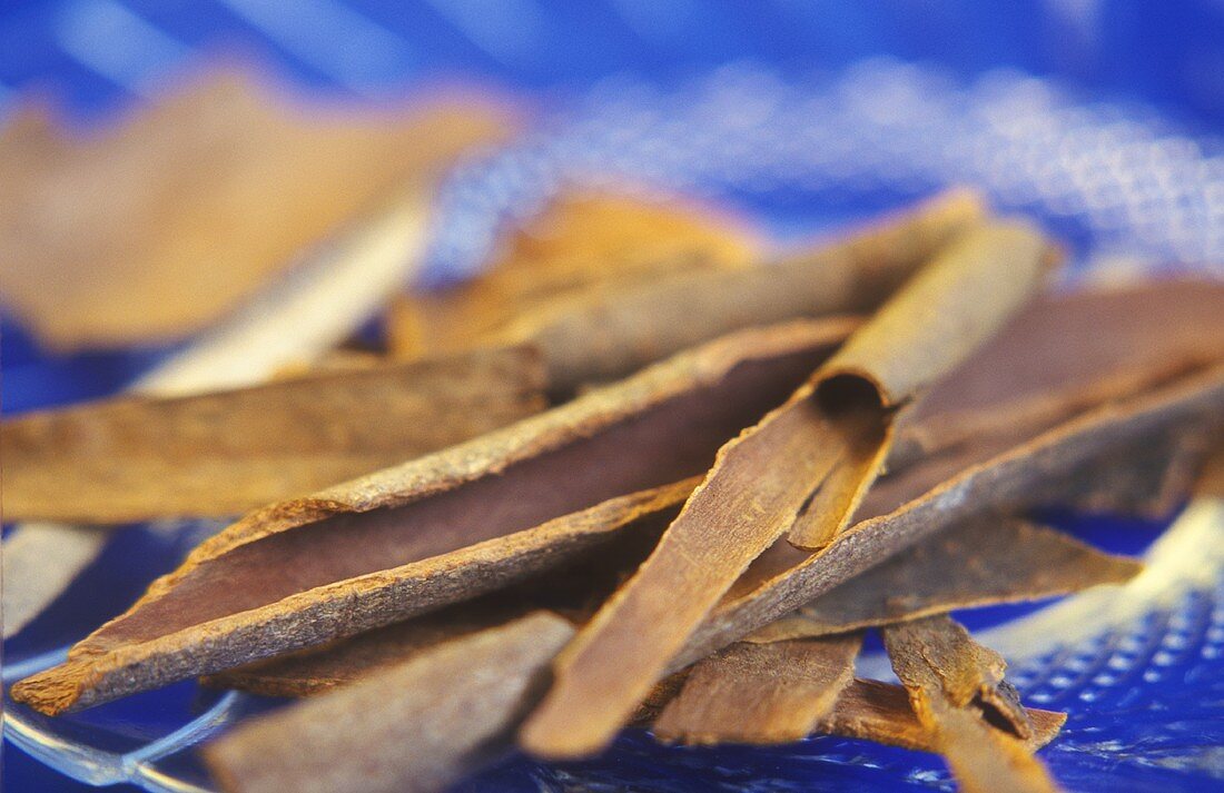 Cinnamon bark (from Chinese cinnamon tree, Cinnamomum cassia)