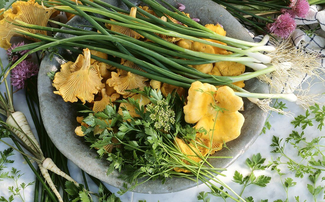 Still life with mushrooms, fresh herbs & spring onions