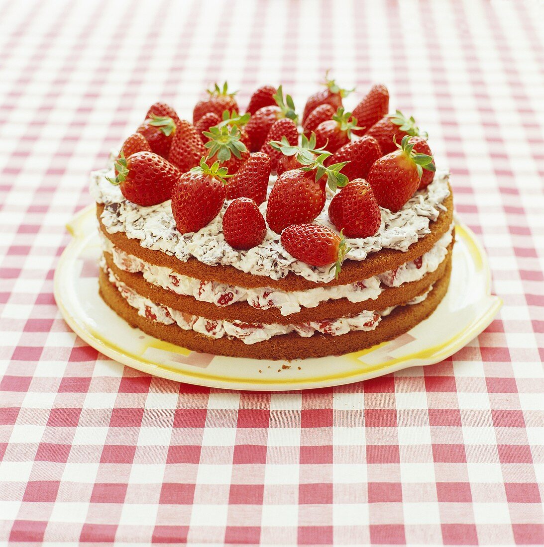 Erdbeer-Schokobiskuit-Torte, garniert mit frischen Erdbeeren
