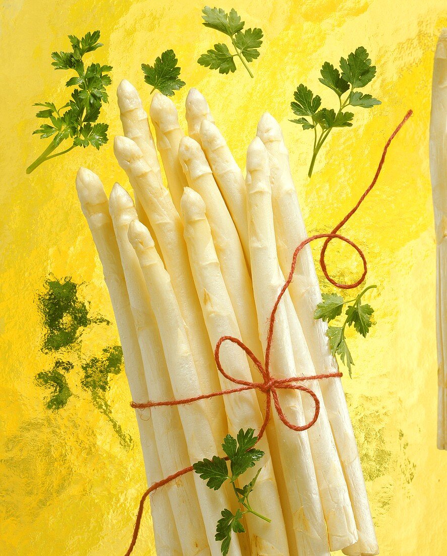A bundle of white asparagus with red string, parsley