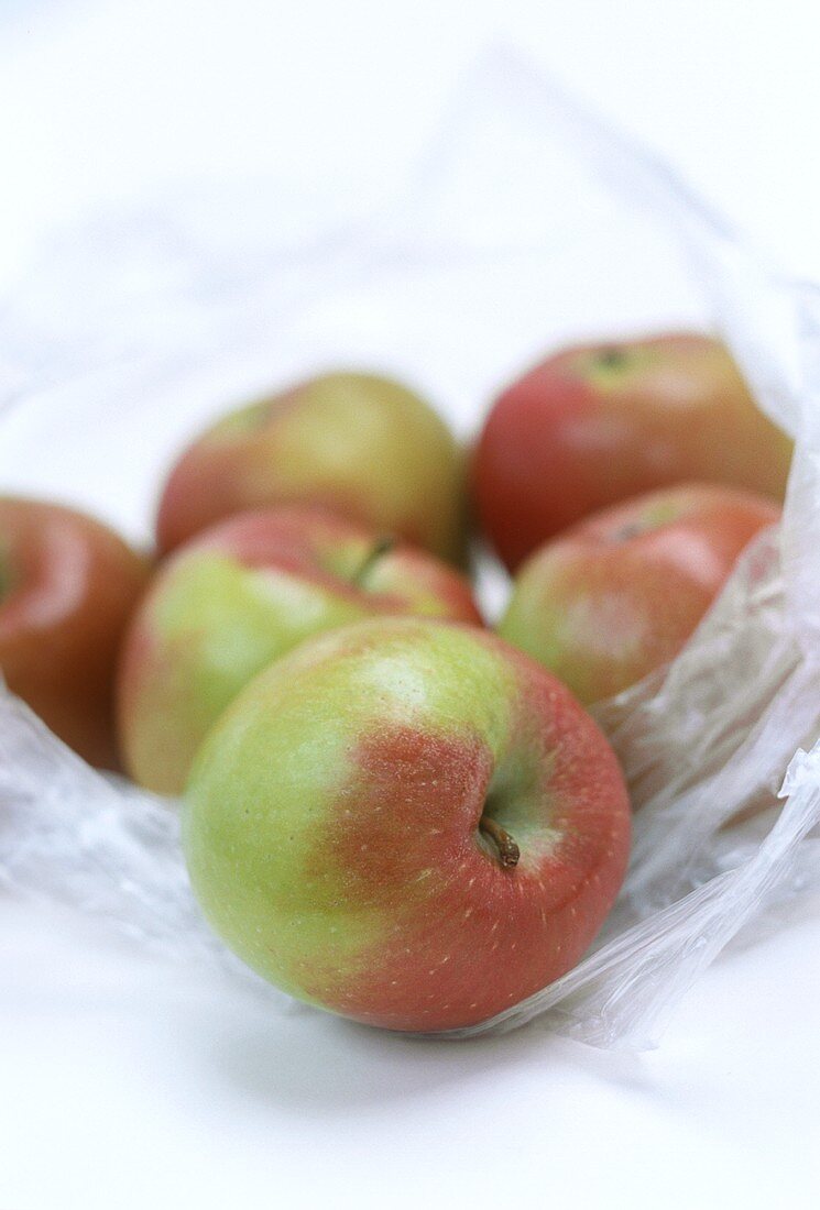 Frische Äpfel der Sorte Braeburn in einem Plastikbeutel