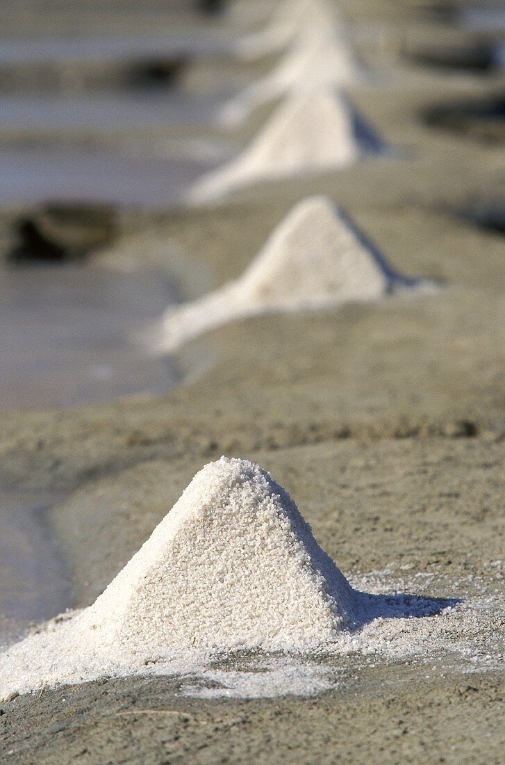 Salzgewinnung auf der Ile de Noirmoutier, Frankreich