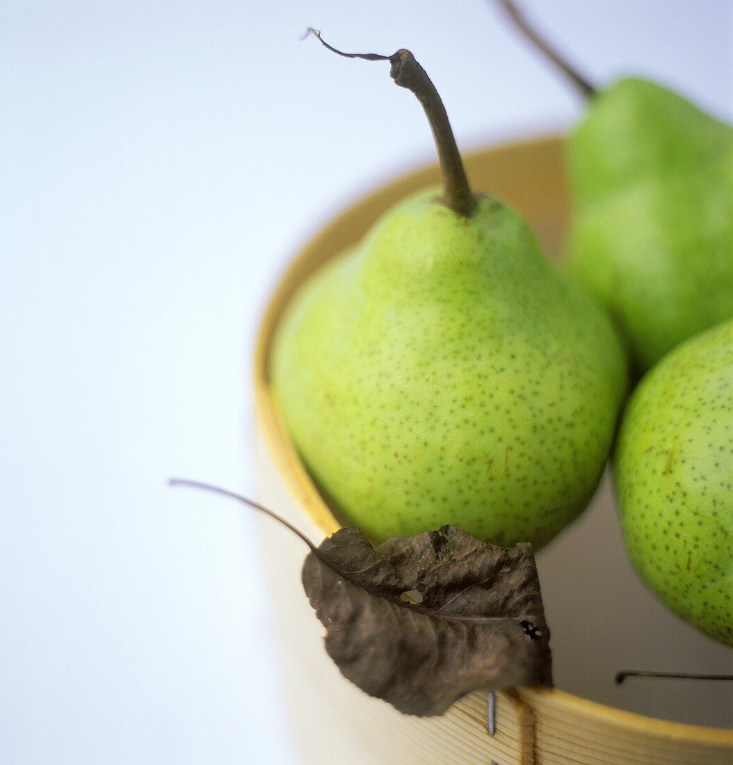 Still life with Williams (Bartlett) pears in a rice steamer