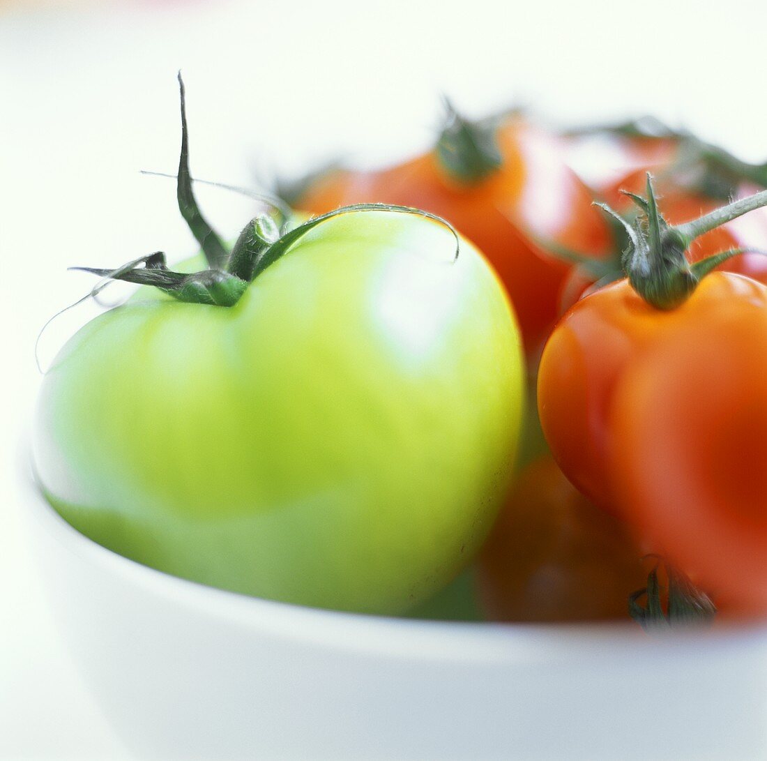 Green tomato with red tomatoes in a bowl