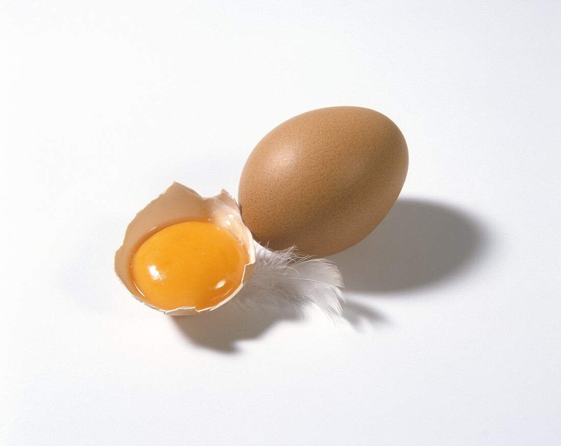 A whole hen's egg and egg yolk in bowl with feather