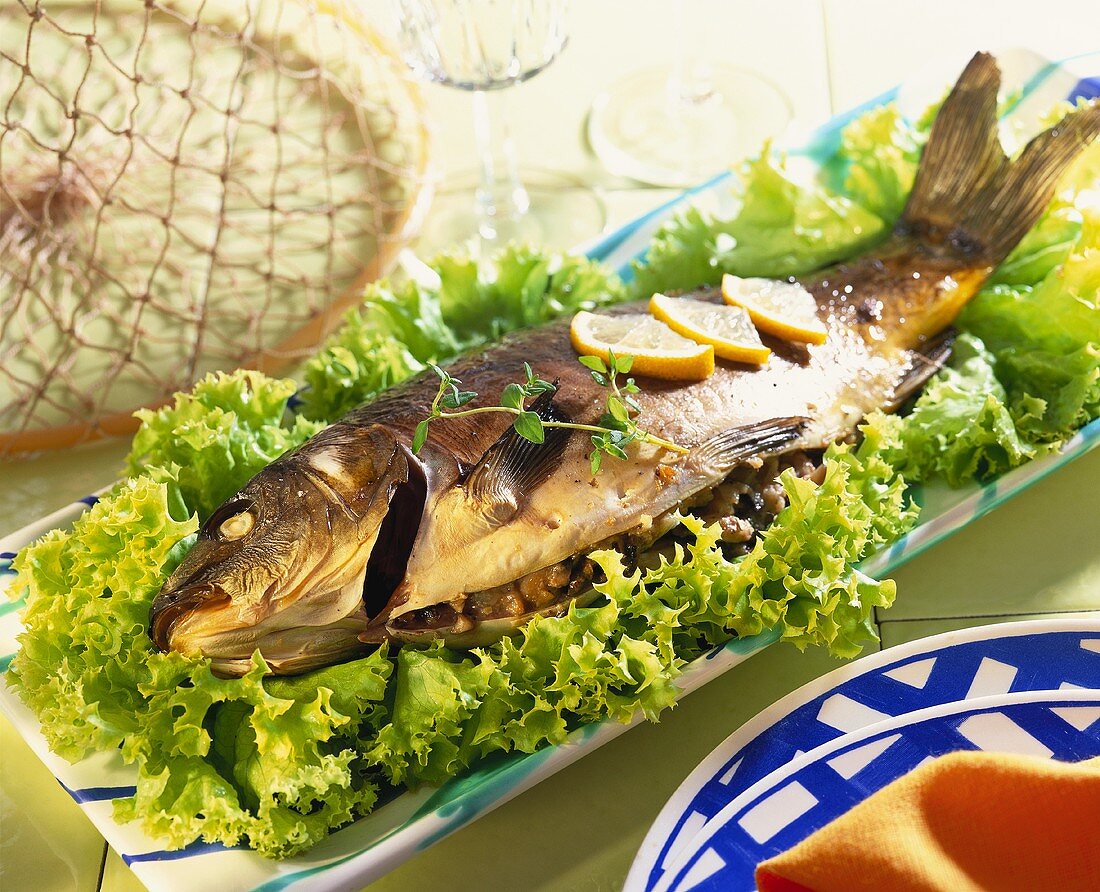 Stuffed carp a la Pomian on bed of lettuce