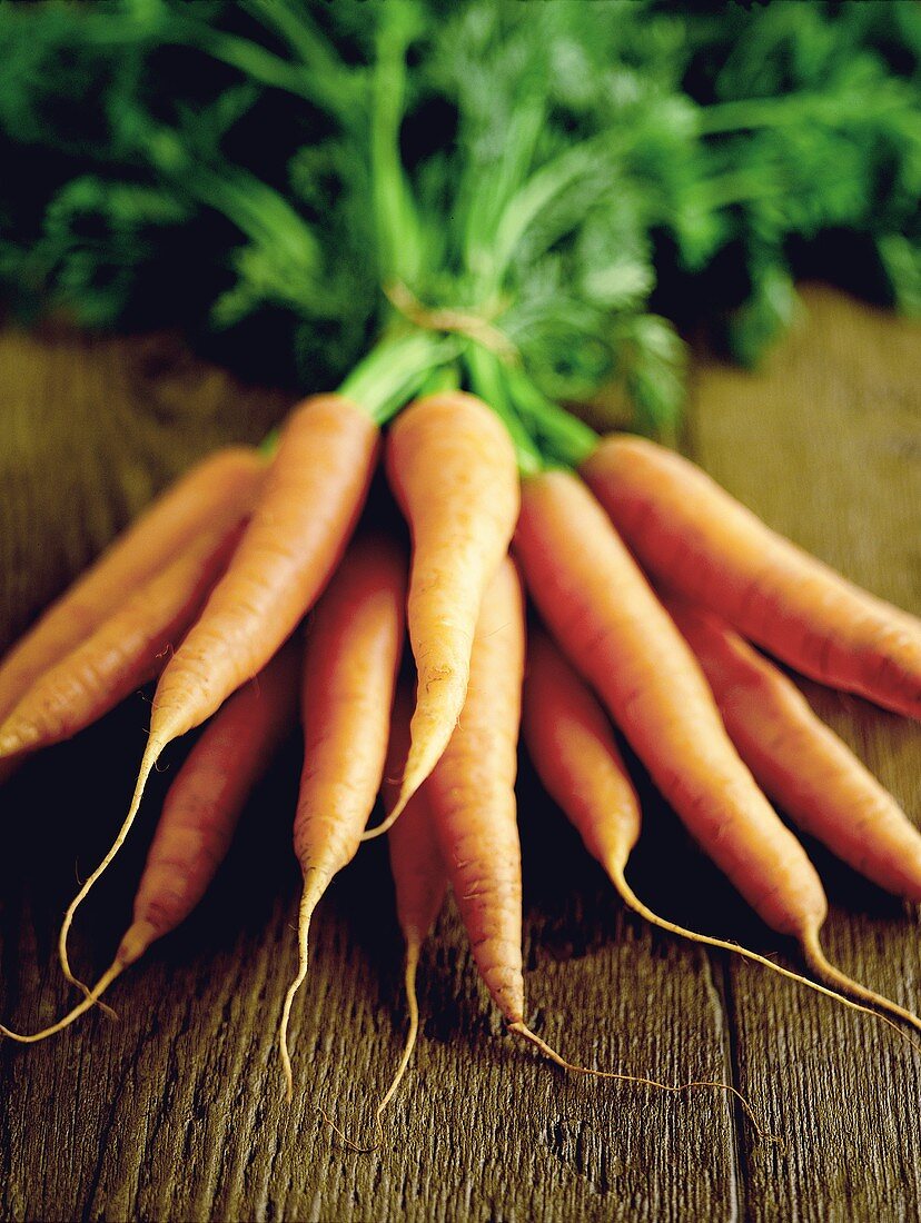 Bunch of carrots