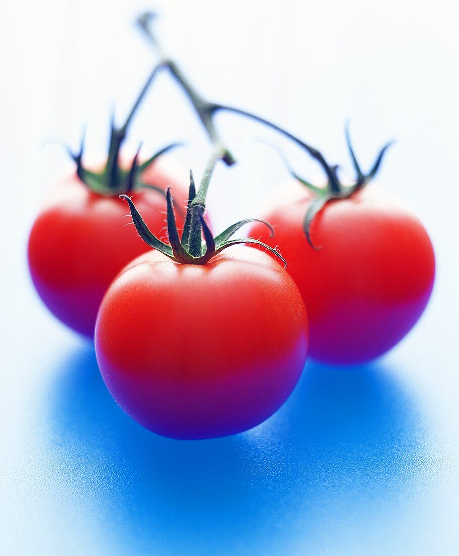 Three tomatoes on the vine