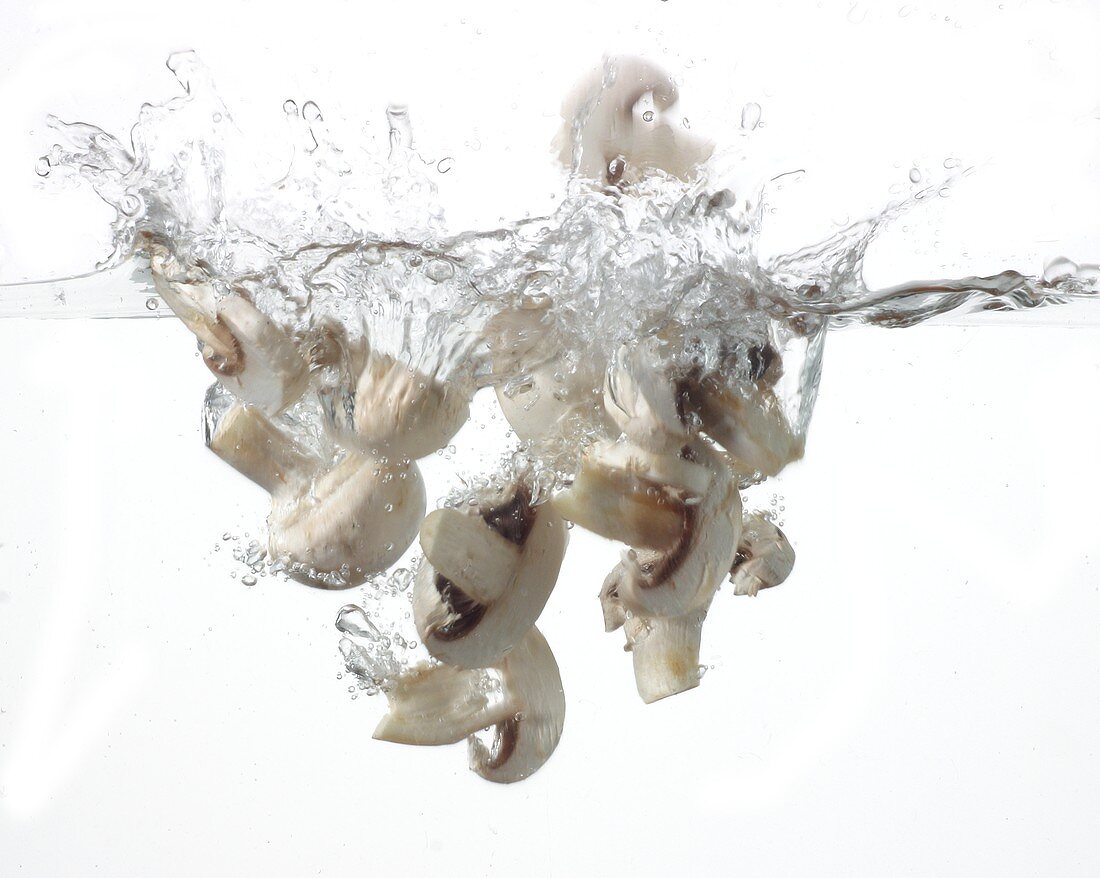 Champignons fallen ins Wasser