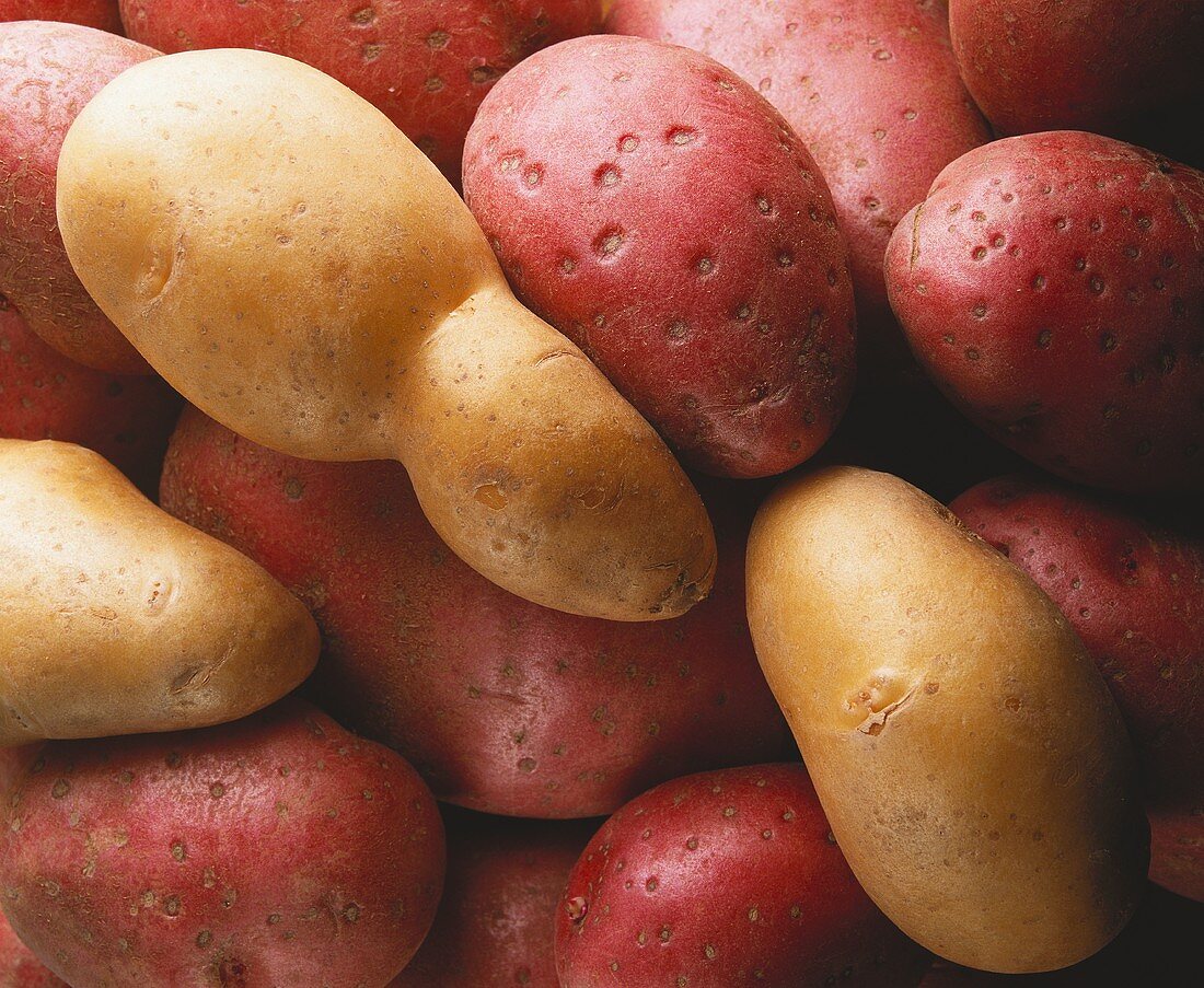 White and red potatoes