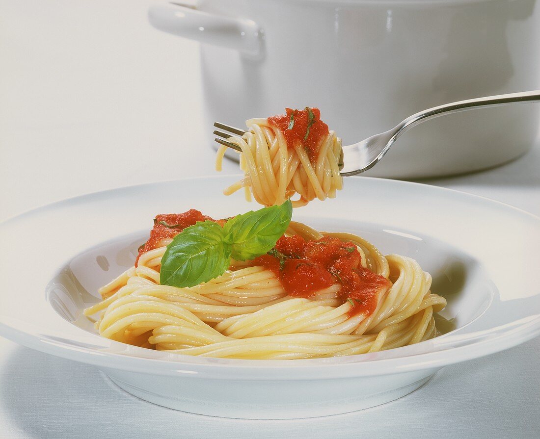 Spaghetti mit Tomaten und Basilikum auf Gabel und Teller