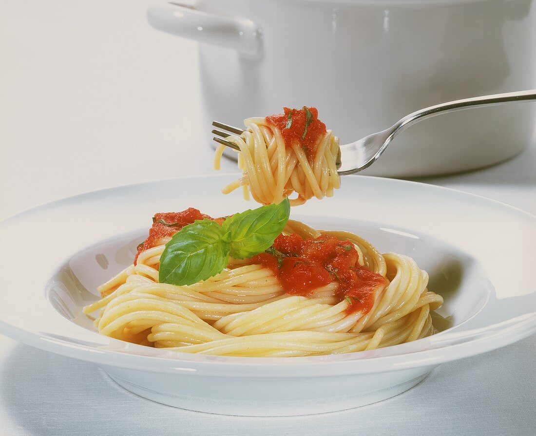Spaghetti with tomatoes and basil on fork and plate
