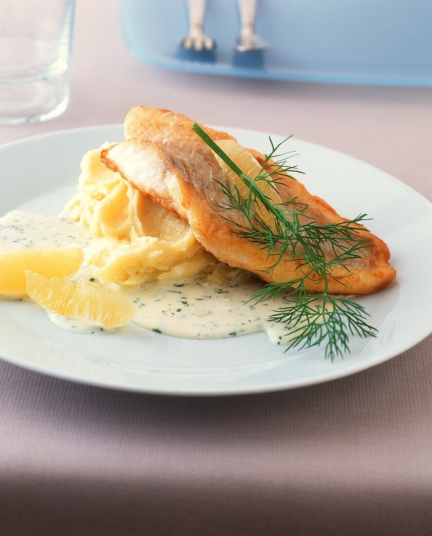Redfish fillet with lemon and dill sauce and mashed potato
