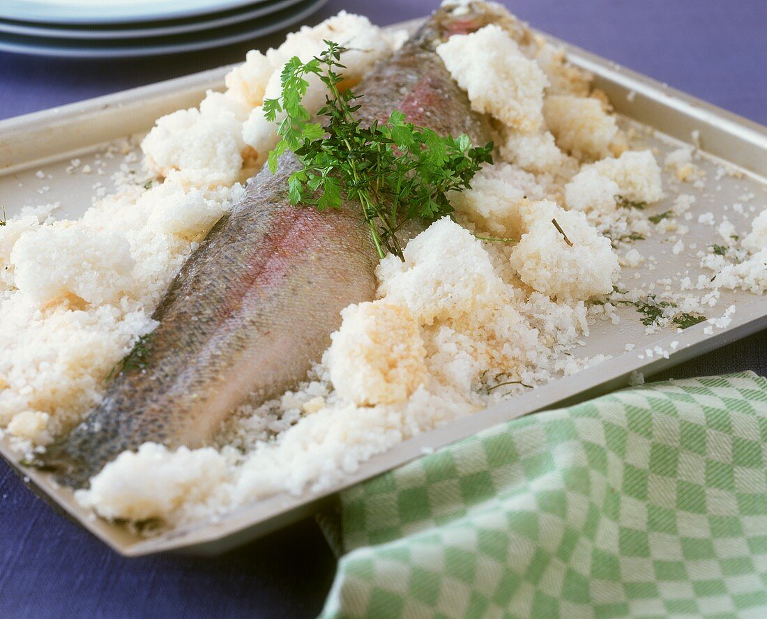 Salmon trout in salt crust