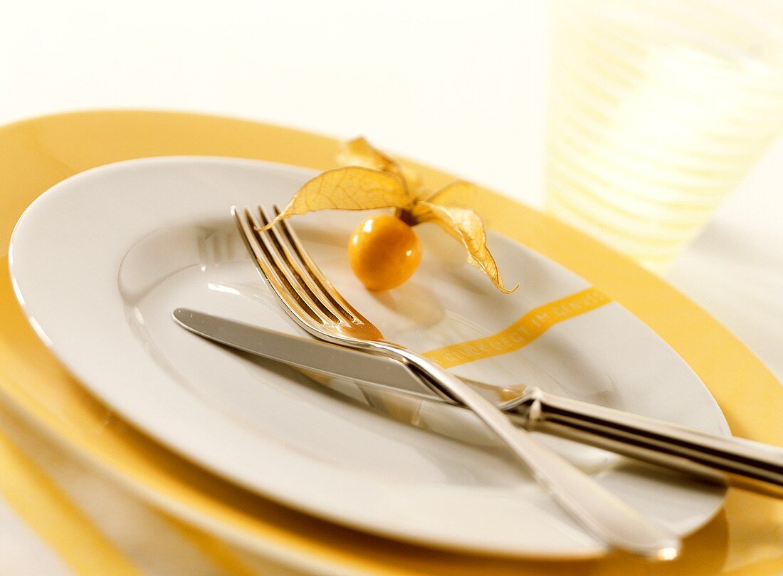 White plate with cutlery and physalis