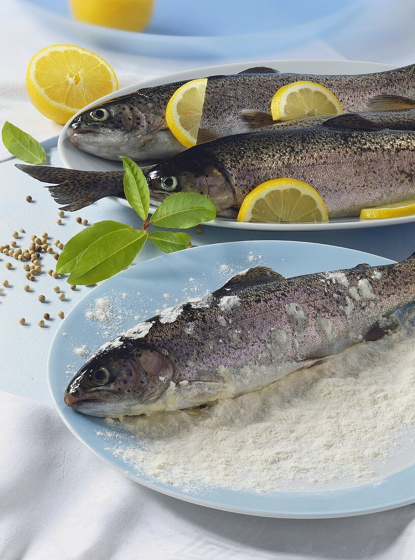 Fresh trout, flour and lemons