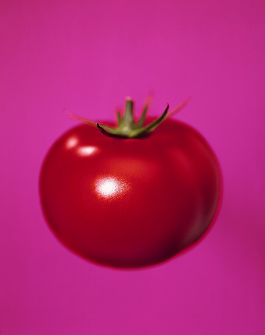 A tomato against lilac background