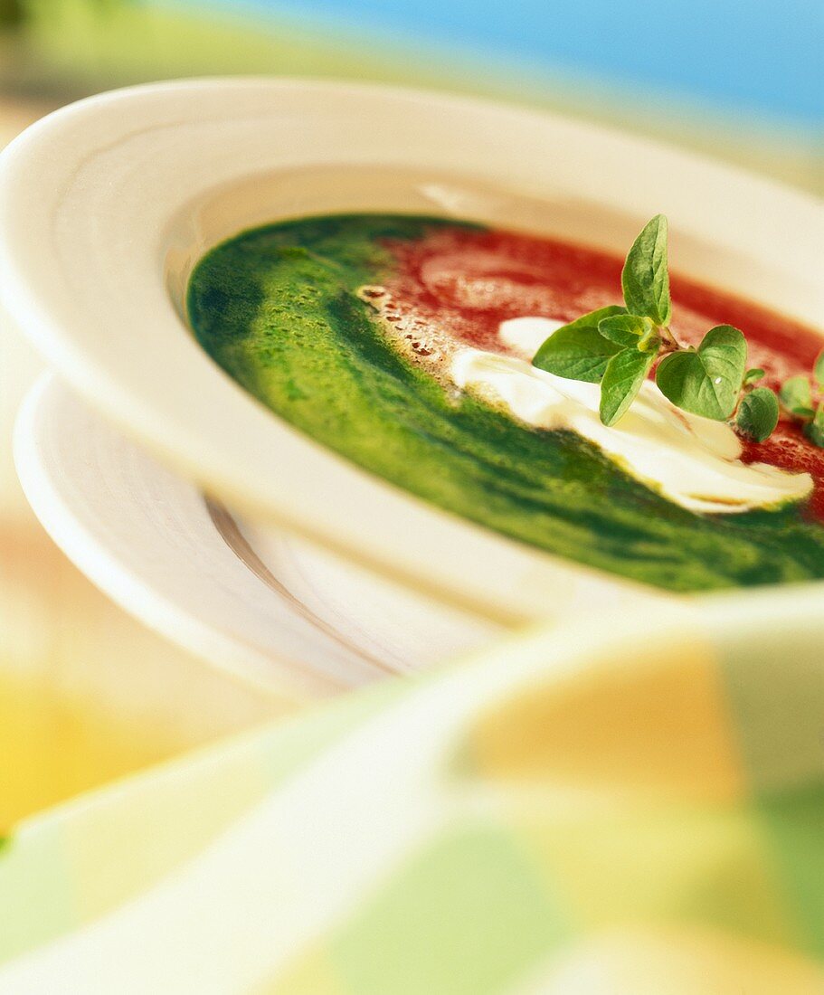 Zuppa tricolore (Cremesuppe aus Spinat, Tomate & Mascarpone)