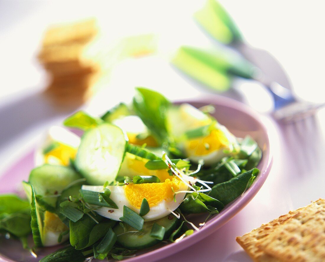 Gemischter Salat mit gekochtem Ei
