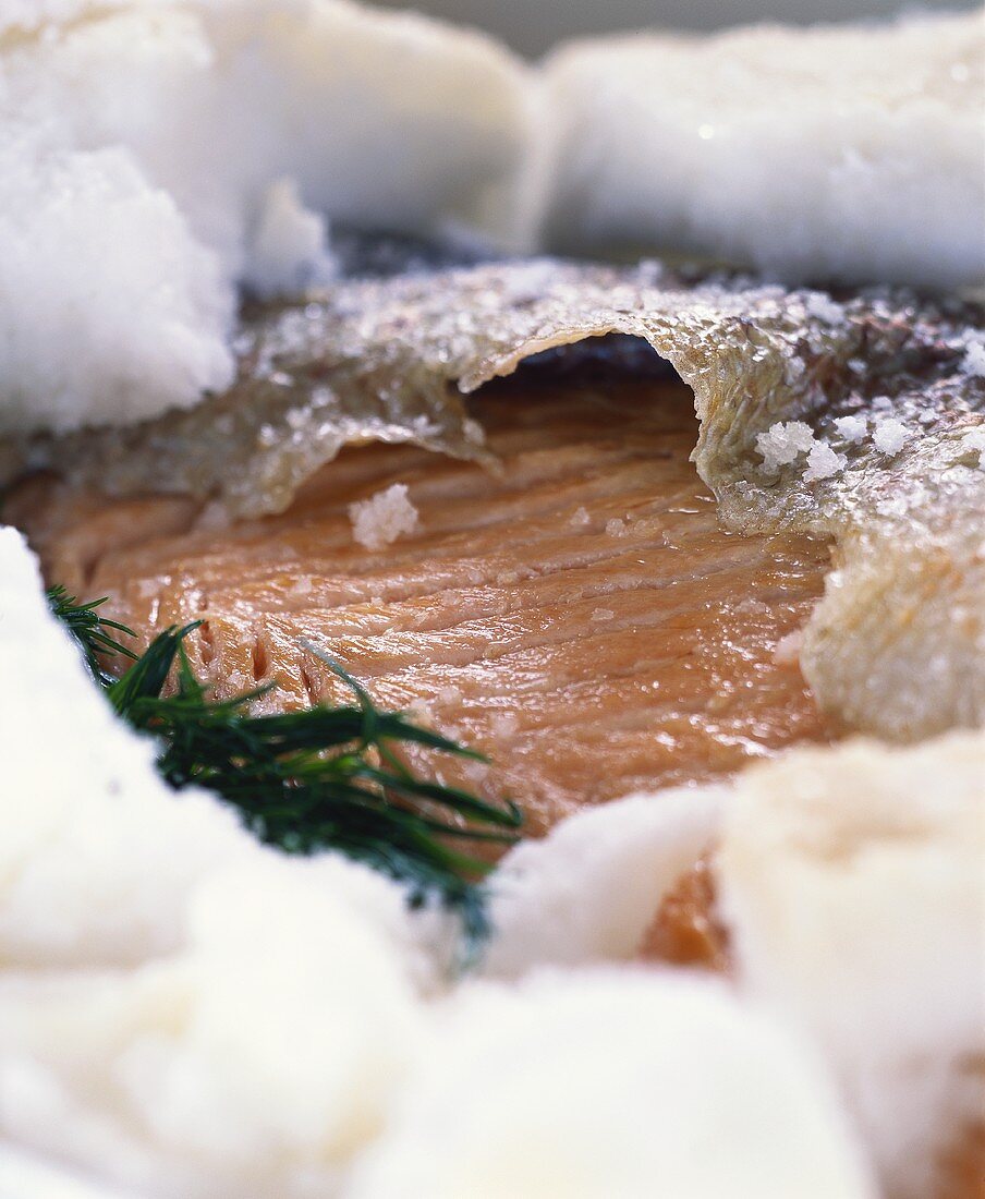 Salmon in salt crust