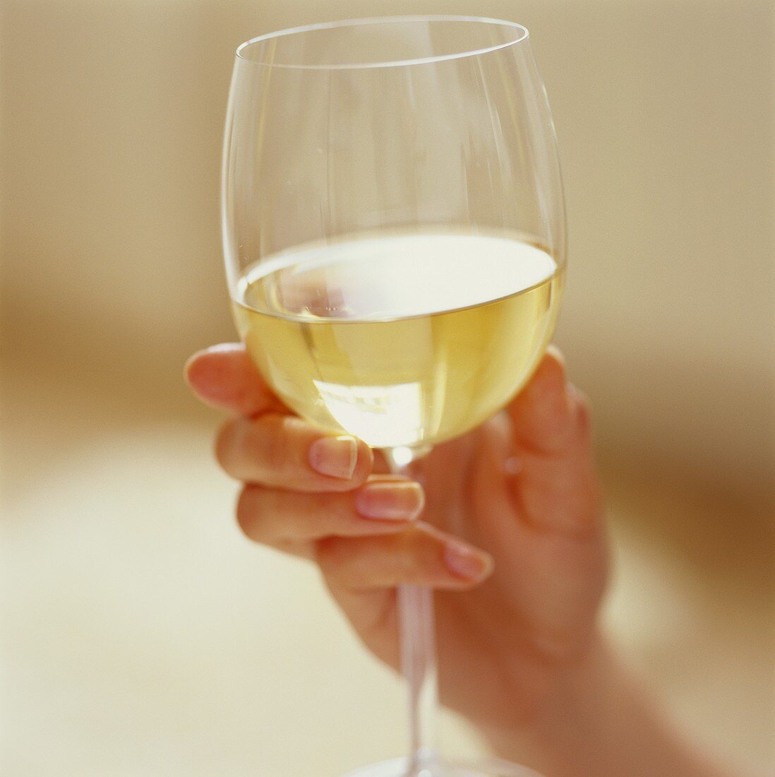 Hand holding a glass of white wine