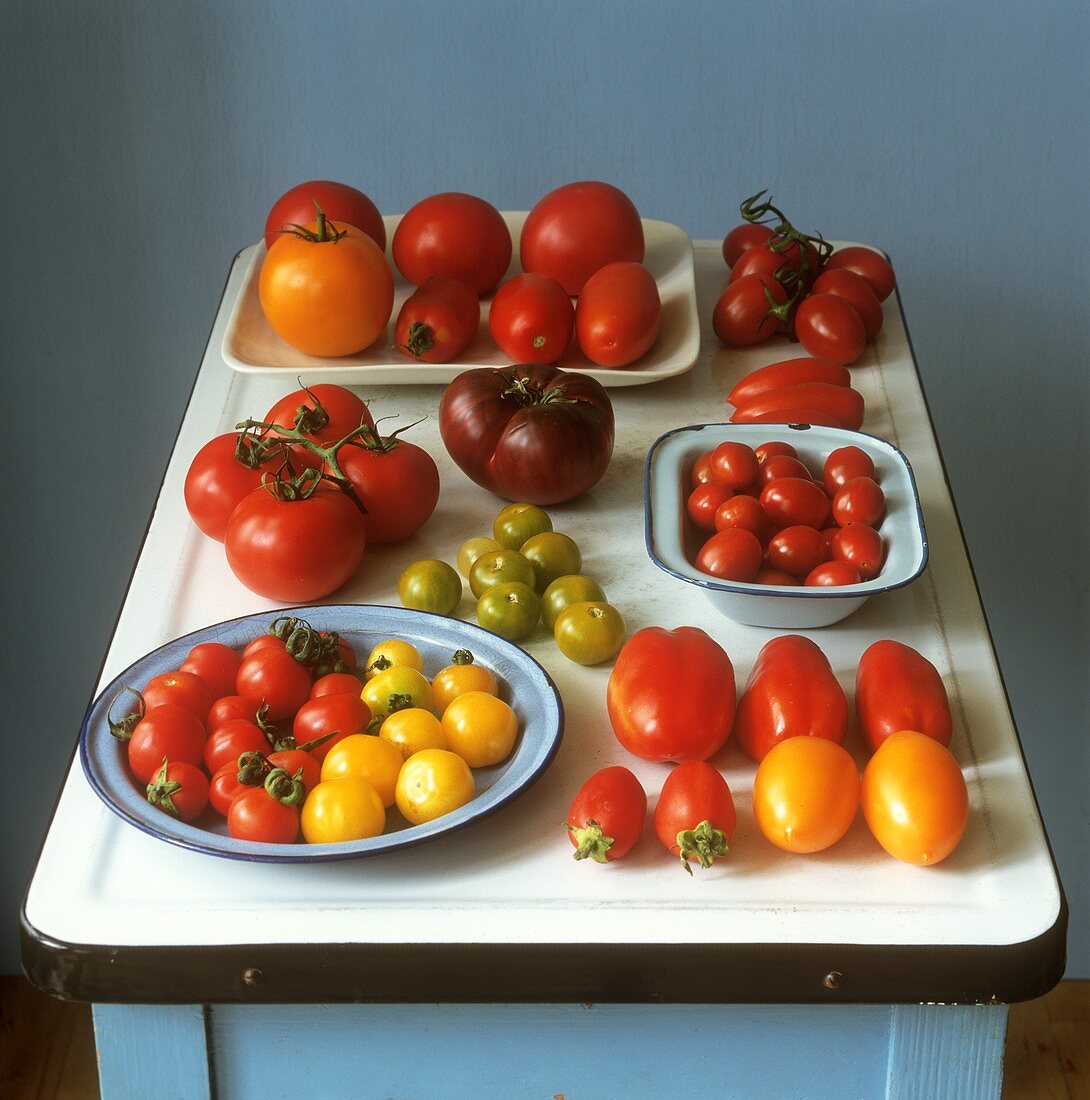 Stillleben mit verschiedenen Tomaten