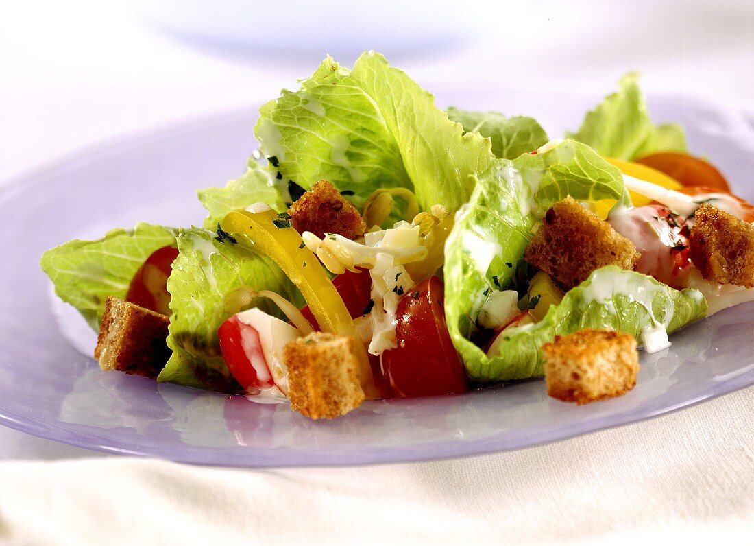 Romaine lettuce with vegetables and croutons