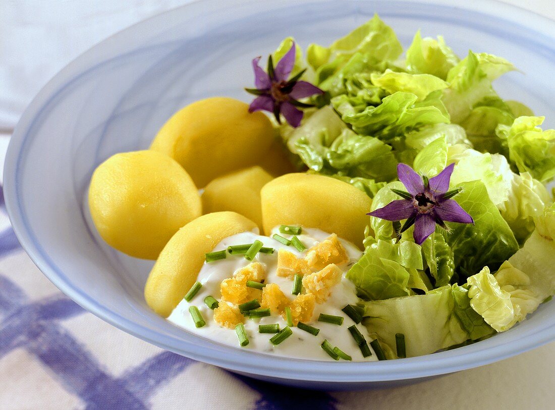 Potatoes boiled in their skins with lettuce and herb sauce