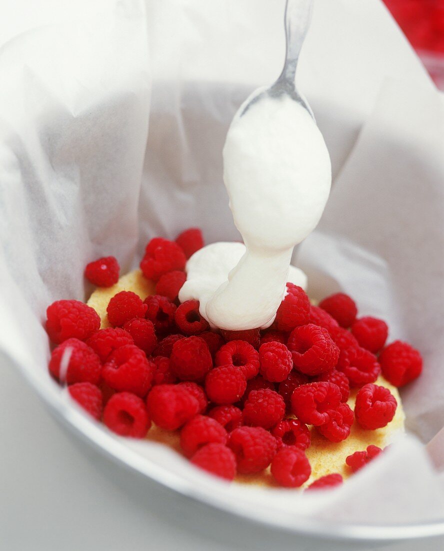 Vanillepudding mit frischen Himbeeren und Schlagsahne