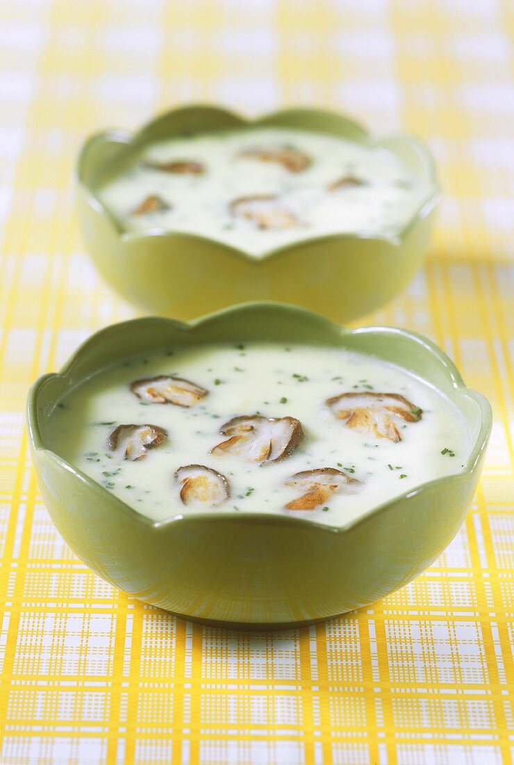 Bramborová (potato soup with mushrooms, Czech Republic)