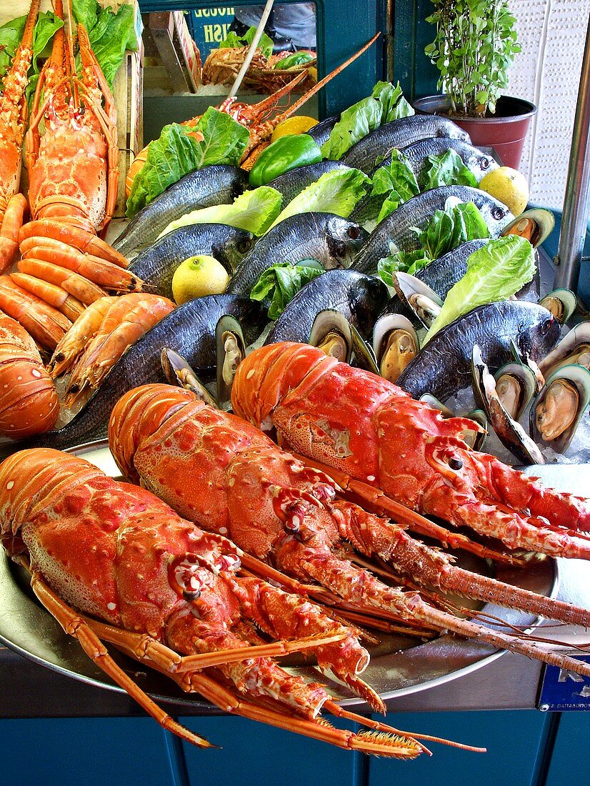 Fish buffet: lobster, mussels, shrimps and sea bream