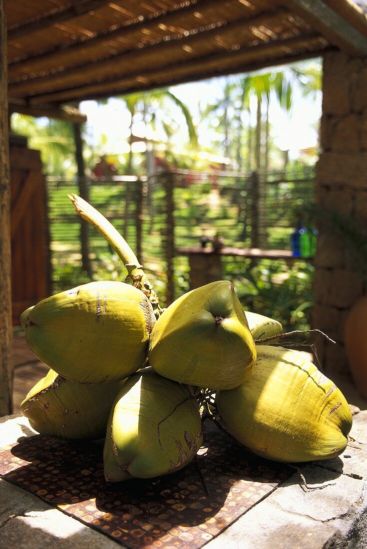 Frische Kokosnüsse (San Salvador de Bahía, Brasilien)